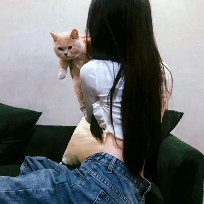 狐狸女士第二季